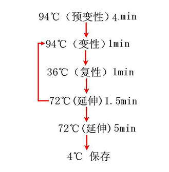 凯时人生就是搏·(中国区)官方网站