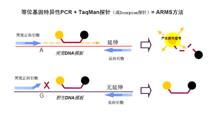 凯时人生就是搏·(中国区)官方网站